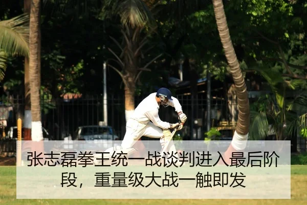 张志磊拳王统一战谈判进入最后阶段，重量级大战一触即发