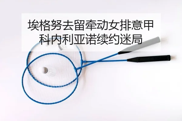 埃格努去留牵动女排意甲 科内利亚诺续约迷局（Kaiyuan Card Game）